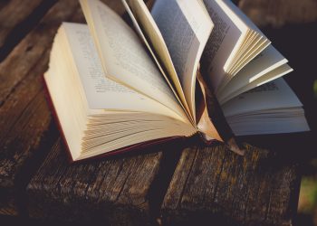 Book Notes — Some Virginia Writers