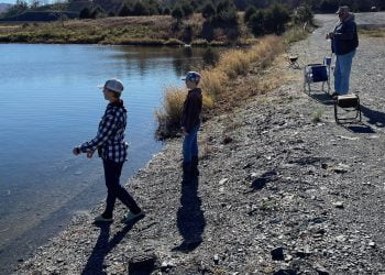 The Wandering Wilkins – December 2021