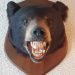 bear-head
