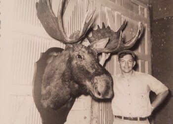 The Gargantuan Praying Moose