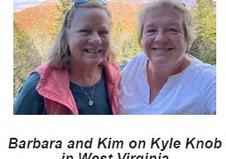 The Wandering Wilkins