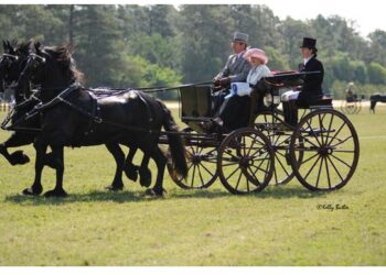 Dr. Burgess – An Animal’s Best Friend