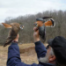 Man holding two barn owls
