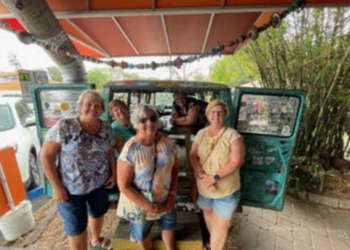 The Wandering Wilkins