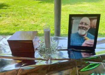 The Wandering Wilkins