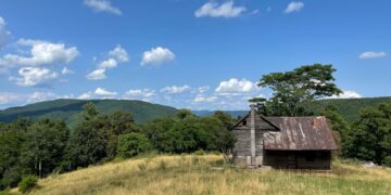 The Wandering Wilkins