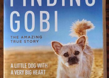 INTERNATIONAL CELEBRITY VISITS BROADWAY