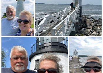 The Wandering Wilkins