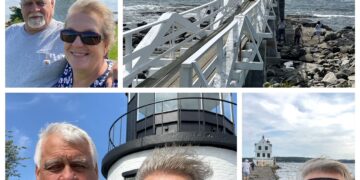 The Wandering Wilkins