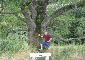 Big Trees and Big Opportunities