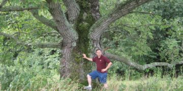 Big Trees and Big Opportunities