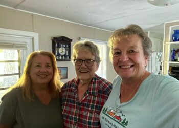 The Wandering Wilkins