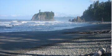 My Safari to Africa with Leonard Lee Rue III