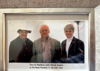 Everything’s Coming Up Roses