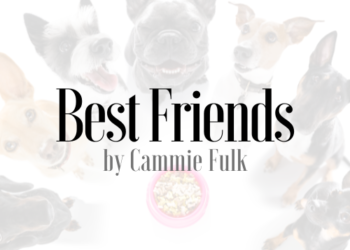 Best Friends Featured Image.