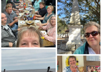 The Wandering Wilkins