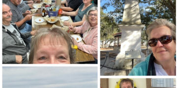 The Wandering Wilkins