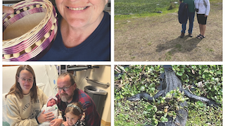 The Wandering Wilkins