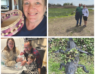 The Wandering Wilkins