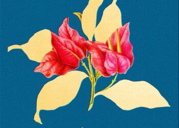 Absolution book cover.