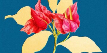 Absolution book cover.