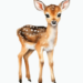 Graphic of a fawn.