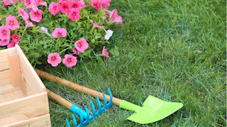 Garden shovel and flowers.
