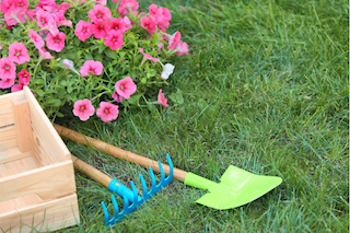 Garden shovel and flowers.