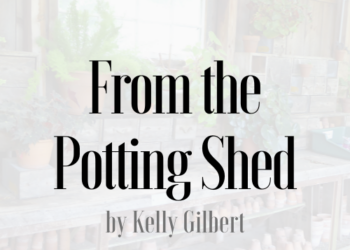 From the Potting Shed