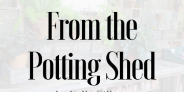 From the Potting Shed