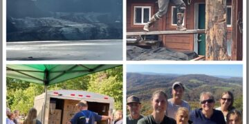 The Wandering Wilkins