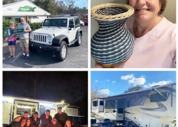 The Wandering Wilkins