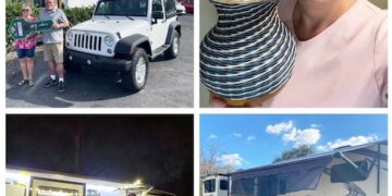 The Wandering Wilkins