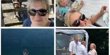 The Wandering Wilkins