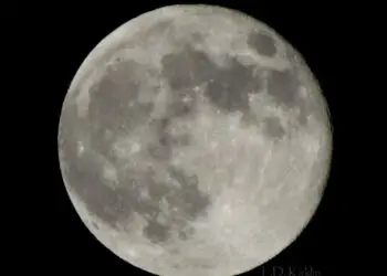 The Power of Perspective