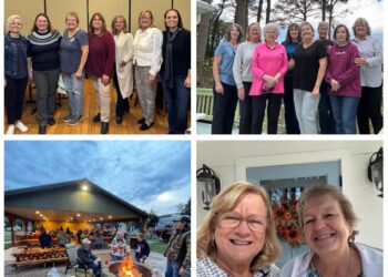 The Wandering Wilkins