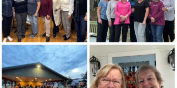 The Wandering Wilkins