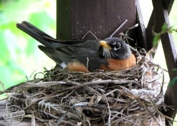 The Power of Perspective